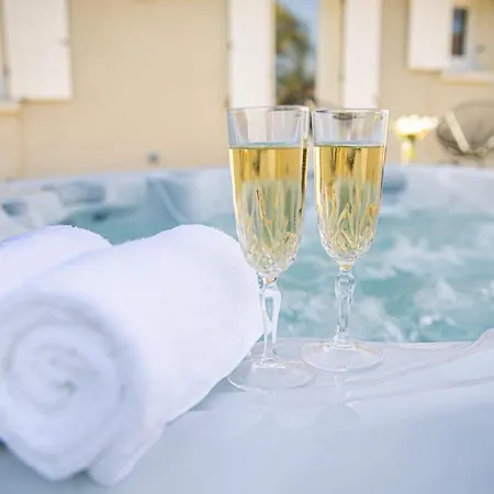 Avec Spa, Terrasse Et Grand Jardin Au Coeur Des Vignobles Historiques - Fr-1-489-513 Saulcet